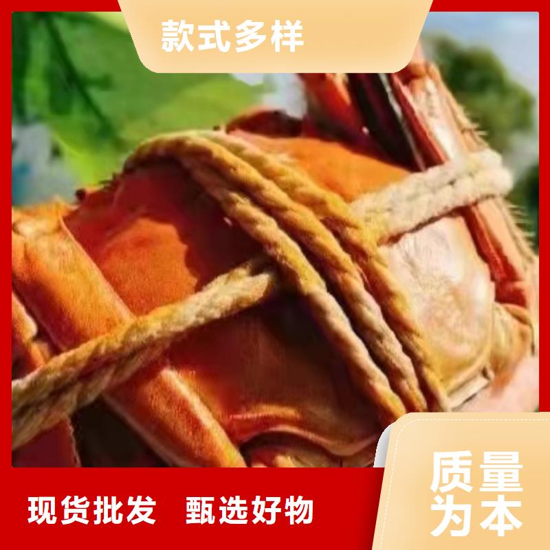 忻城县网上订购大闸蟹