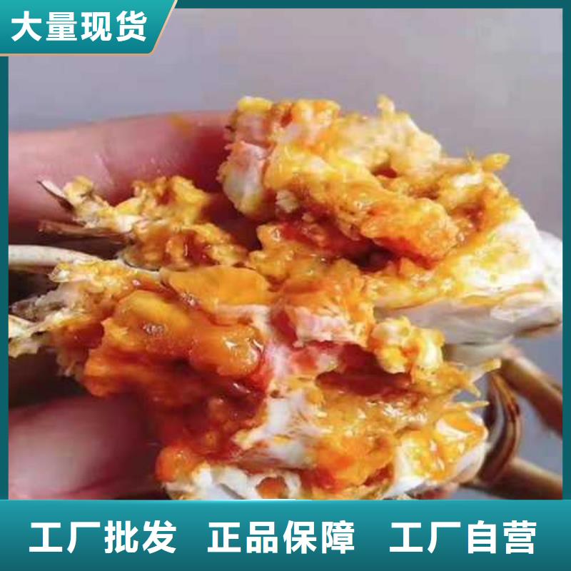 无棣阳澄湖大闸蟹正品保证