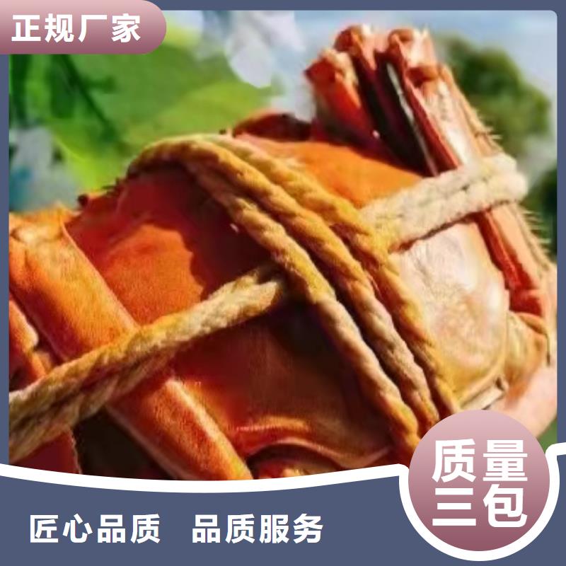 螃蟹品牌厂家价格优惠