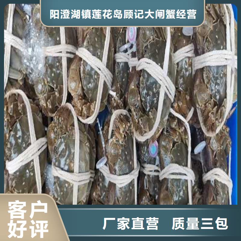 邻水阳澄湖大闸蟹敢为天下鲜