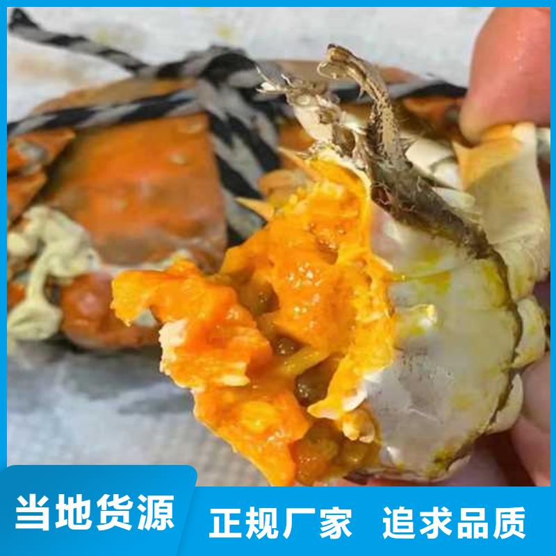 阳澄湖大闸蟹价格