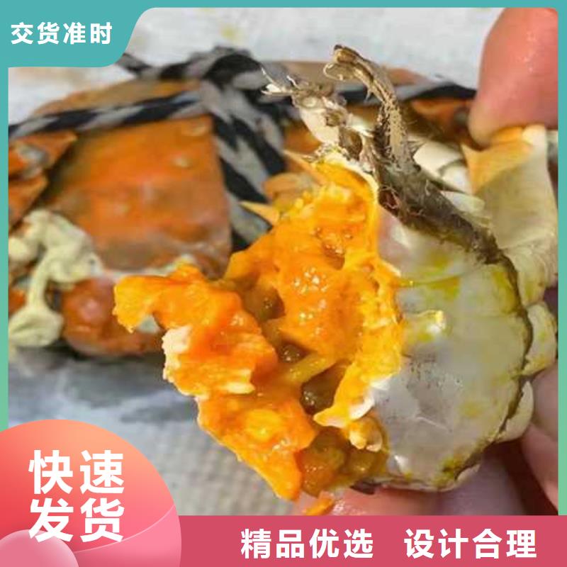 全南阳澄湖大闸蟹膏肥肉美