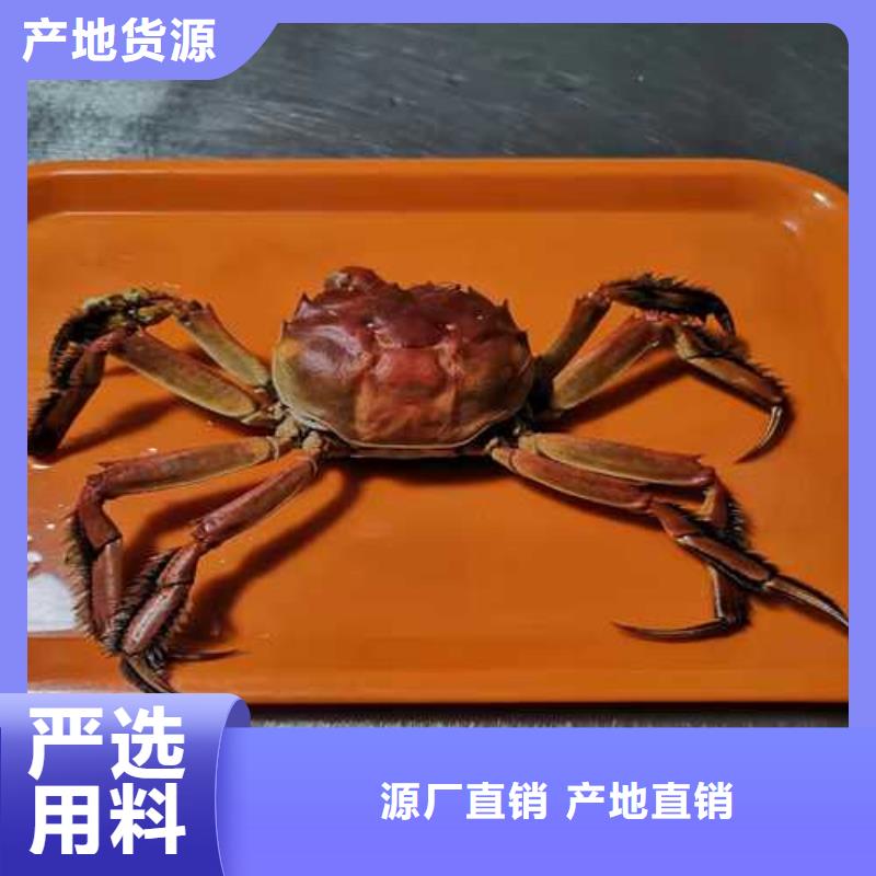 阳澄湖大闸蟹团购