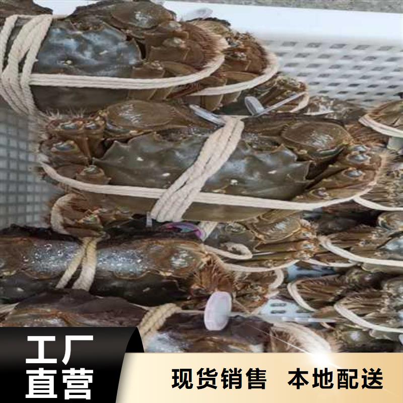 阳澄湖大闸蟹团购