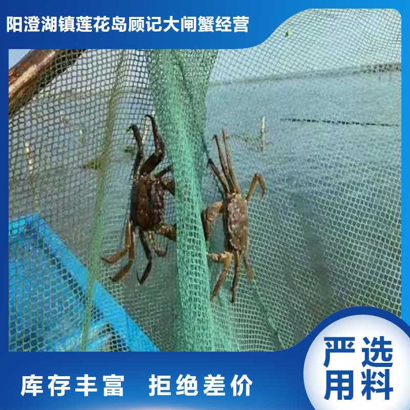 卖阳澄湖大闸蟹地方