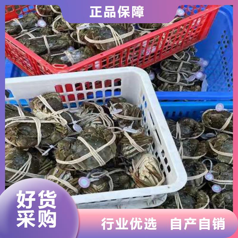 永兴县阳澄湖大闸蟹多少钱