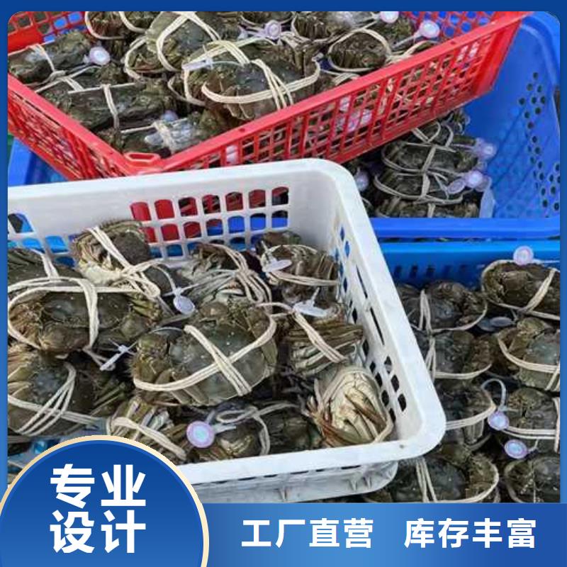 西固阳澄湖大闸蟹高端品质