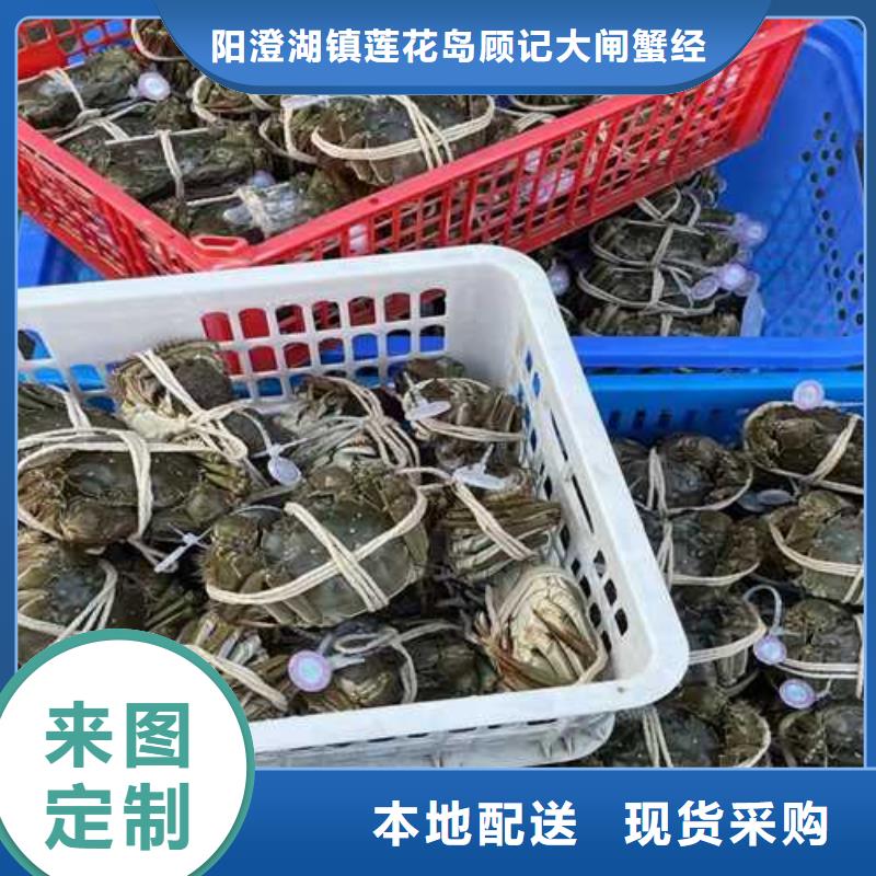 正品阳澄湖大闸蟹批发商