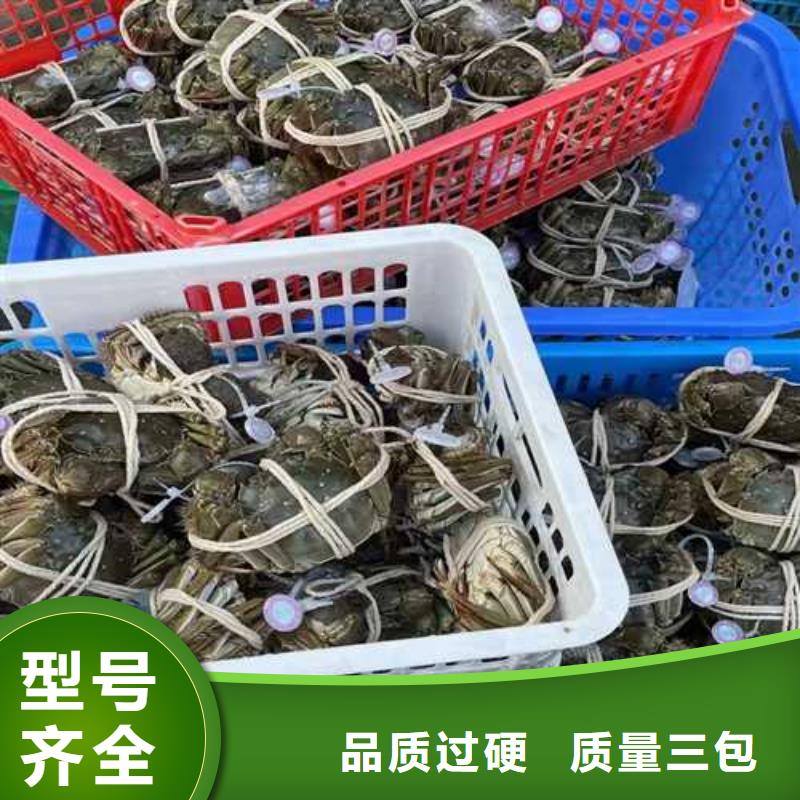 大闸蟹价格低出货快