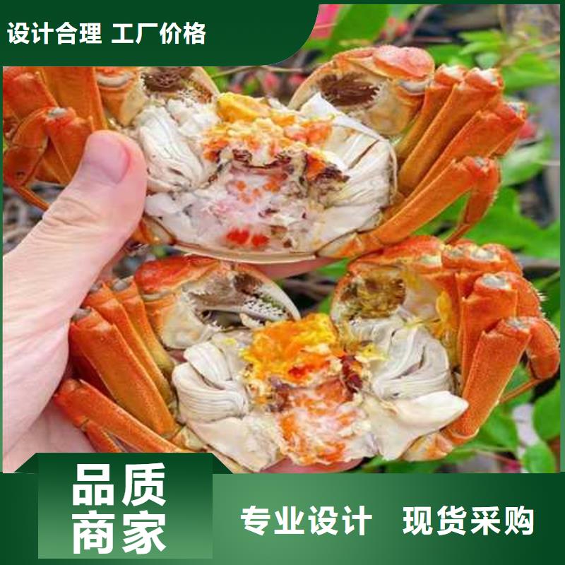 大闸蟹厂家，发货快