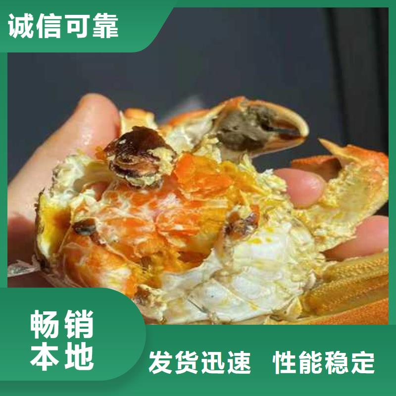 精品大闸蟹鲜活特大