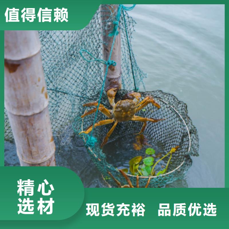 临淄阳澄湖大闸蟹大礼盒