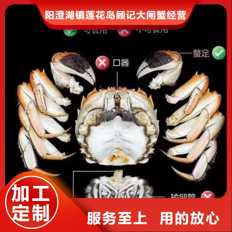 蟹阳澄湖大闸蟹到哪里买品质优良