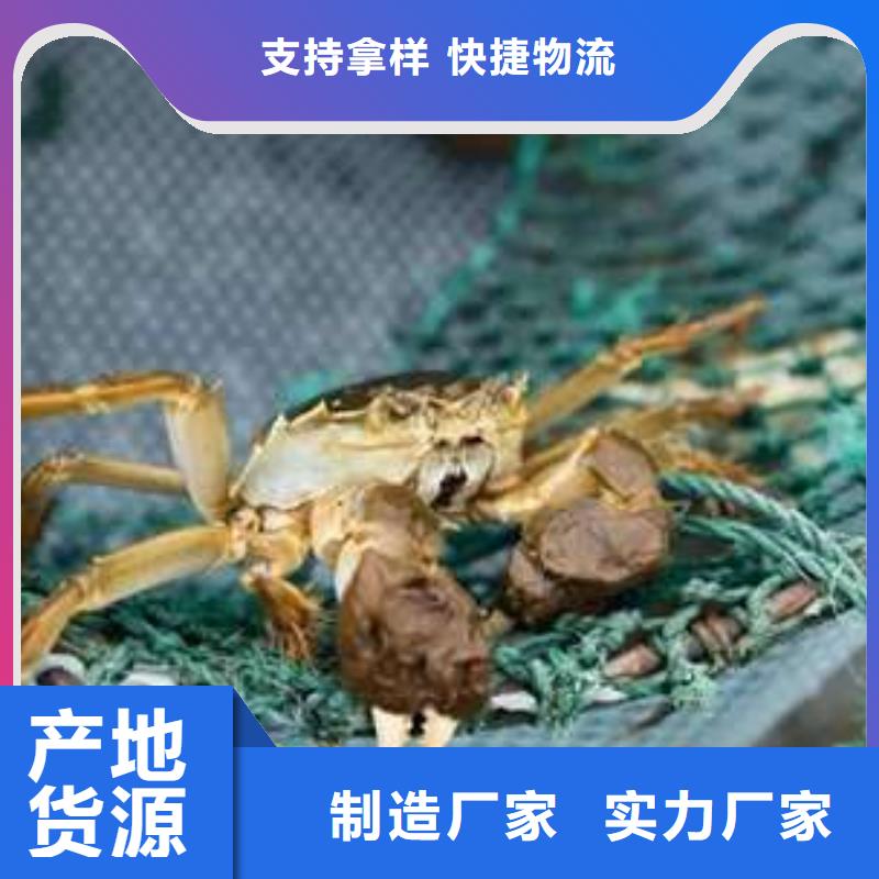 阳澄湖大闸蟹市场价