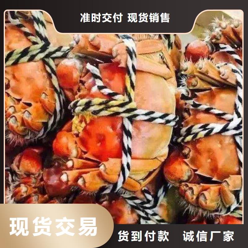 蟹,买大闸蟹品质可靠
