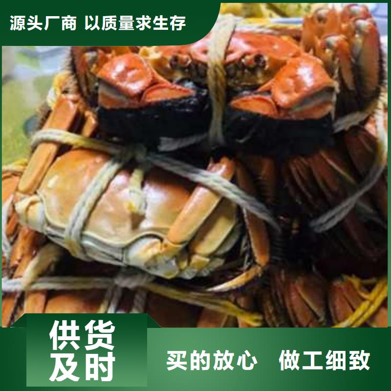 蟹阳澄湖大闸蟹几月份吃经验丰富质量放心