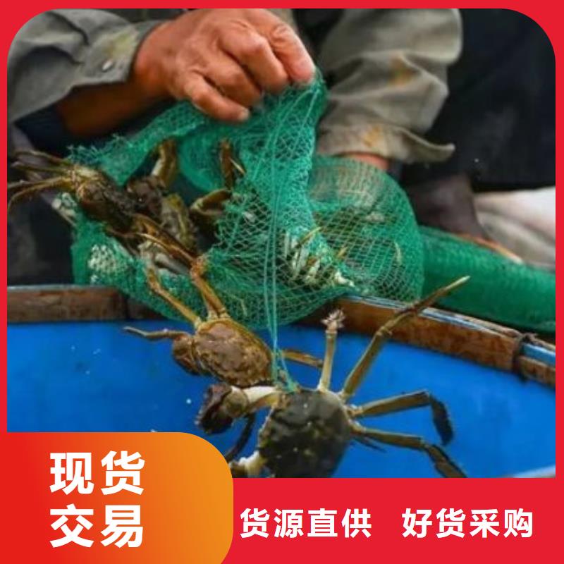 蟹,买大闸蟹品质可靠
