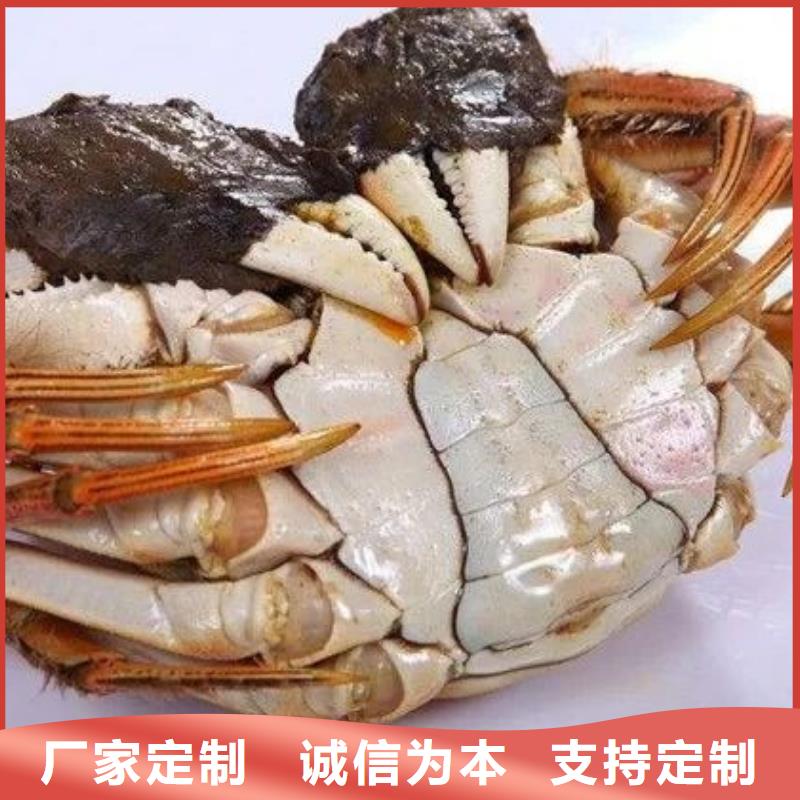 蟹阳澄湖大闸蟹网购源厂直销