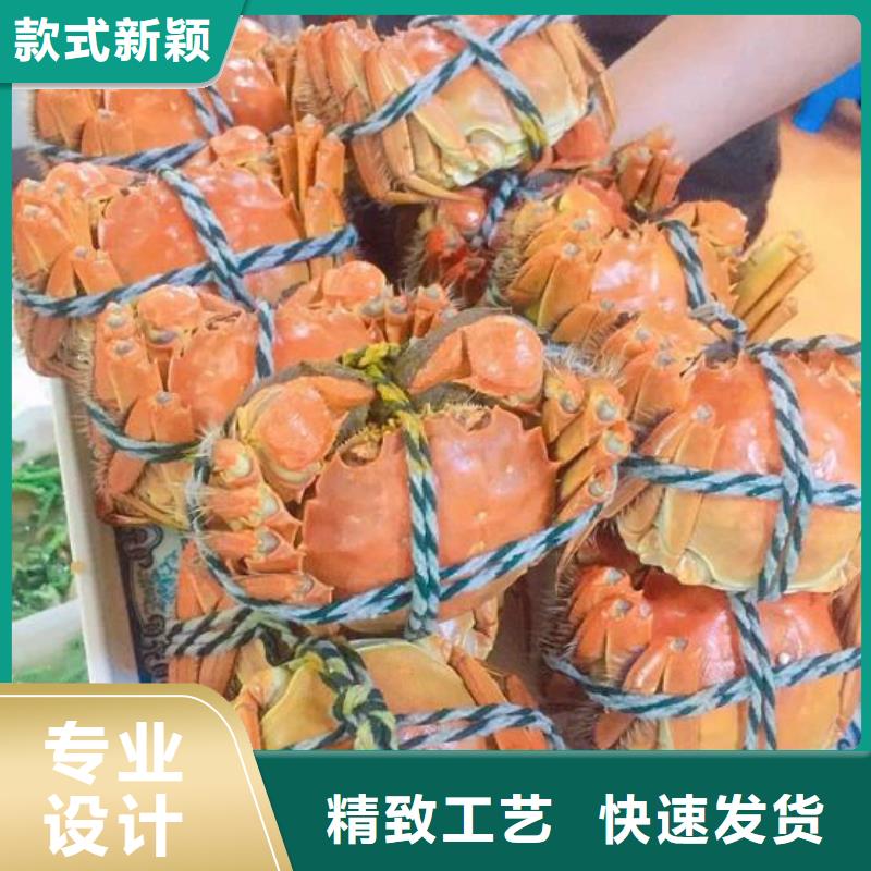 蟹-阳澄湖大闸蟹直营店库存充足