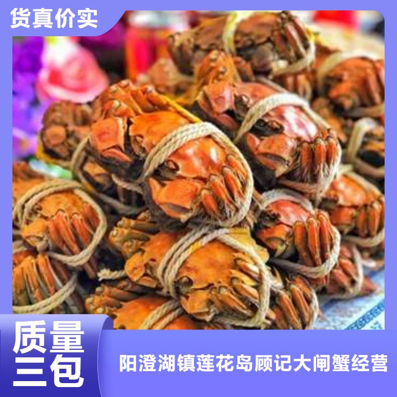 蟹阳澄湖大闸蟹哪个品牌正宗品质保证实力见证