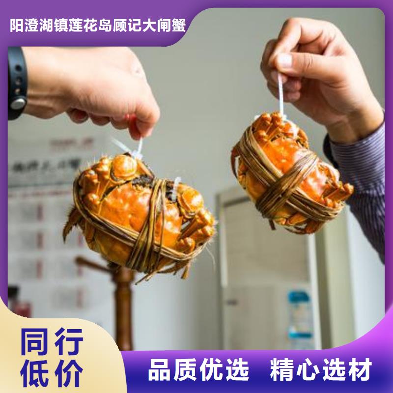 蟹,阳澄湖大闸蟹几月份吃专业供货品质管控