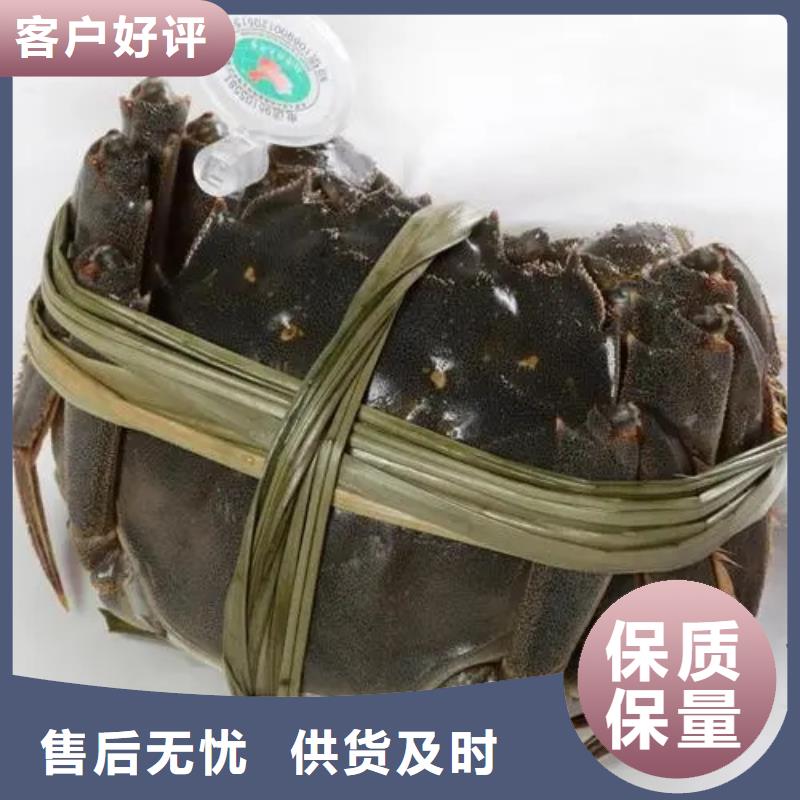 蟹阳澄湖大闸蟹中秋送礼实力见证
