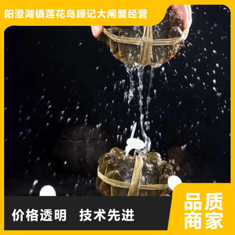 蟹,阳澄湖大闸蟹礼盒层层质检