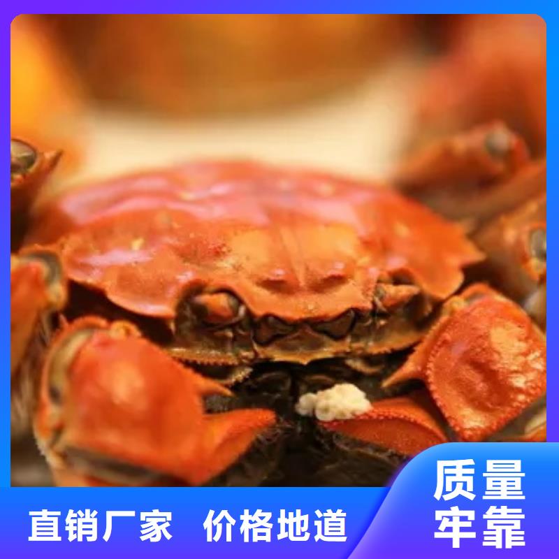 蟹-阳澄湖大闸蟹礼盒诚信商家服务热情