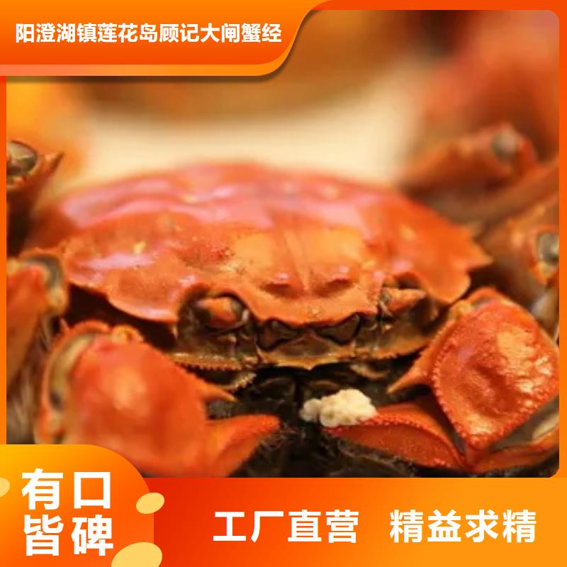 蟹阳澄湖大闸蟹哪个品牌正宗品质保证实力见证