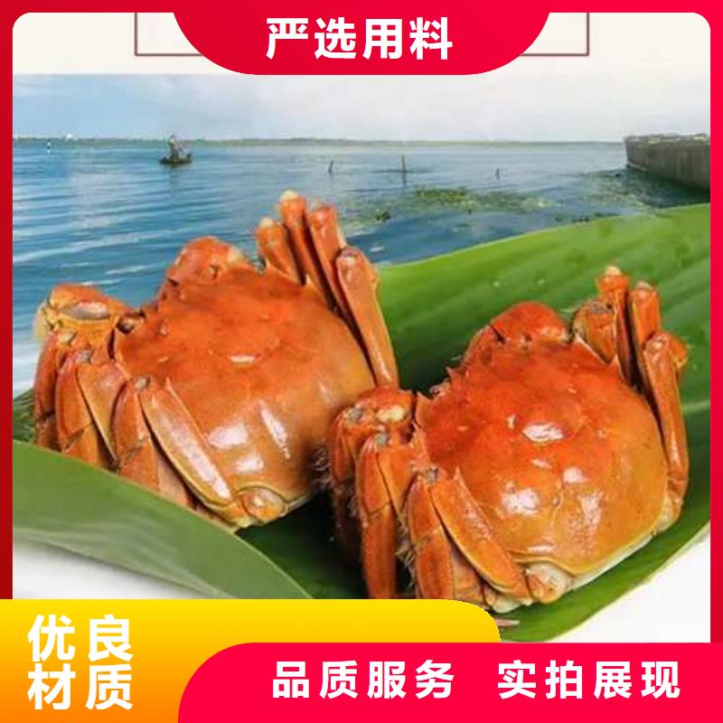 蟹阳澄湖大闸蟹几月份吃经验丰富质量放心