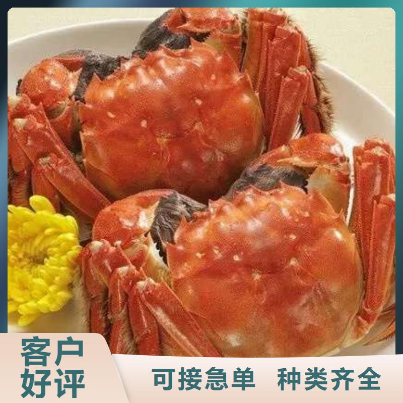 蟹阳澄湖大闸蟹网购源厂直销
