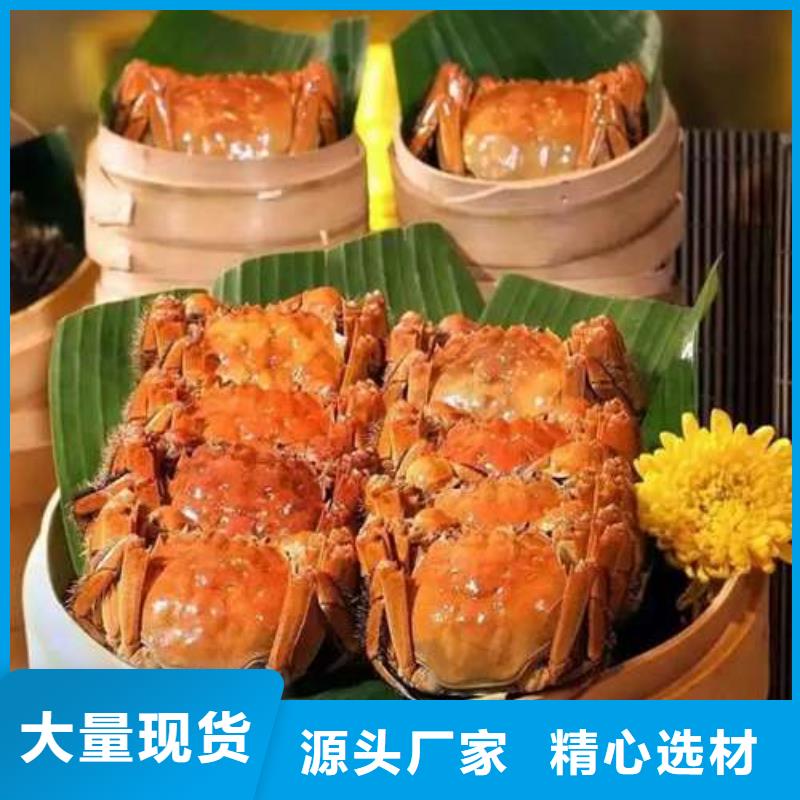 蟹阳澄湖大闸蟹哪个品牌正宗品质保证实力见证