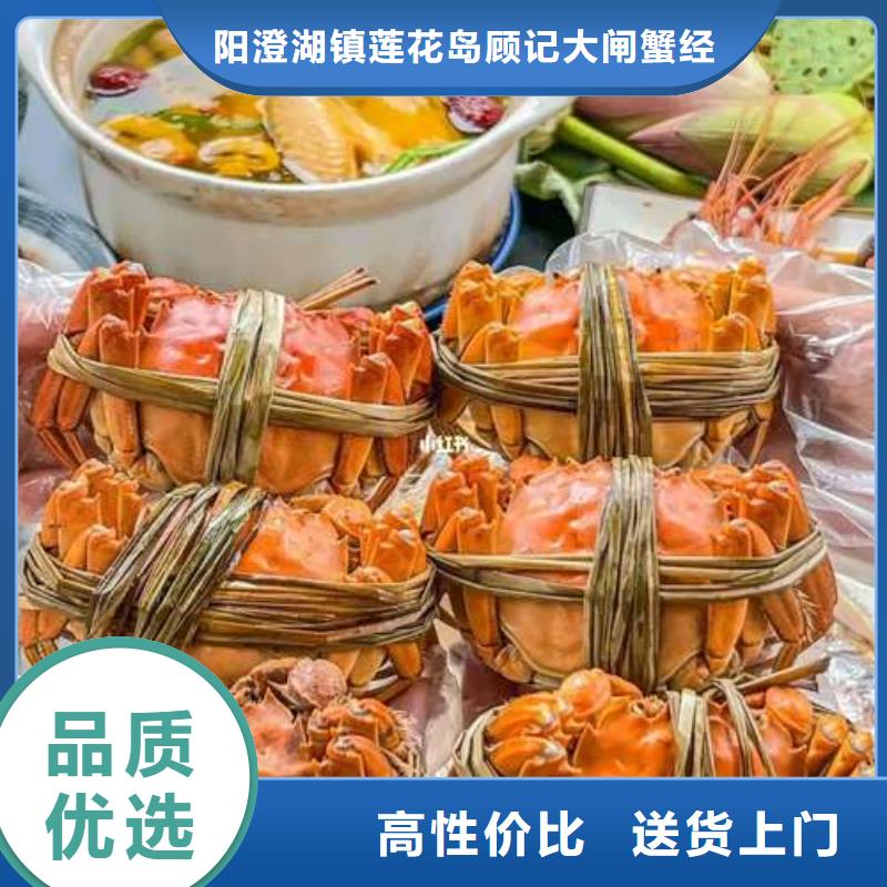 蟹-阳澄湖大闸蟹直营店库存充足