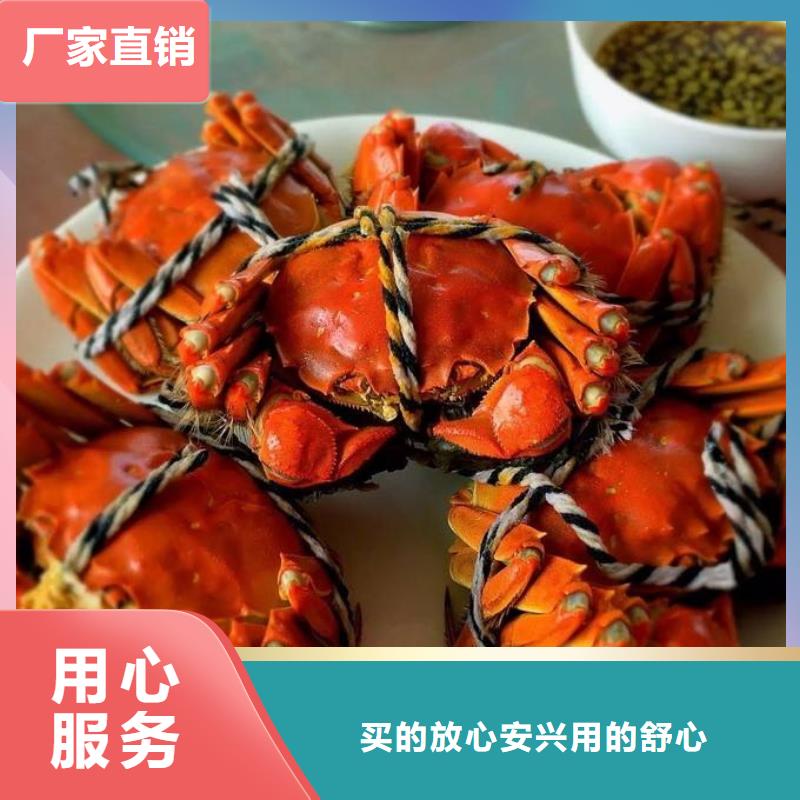 蟹阳澄湖大闸蟹中秋送礼实力见证