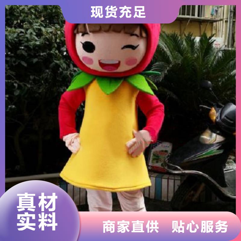 广东深圳卡通人偶服装制作定做/动物毛绒玩具设计