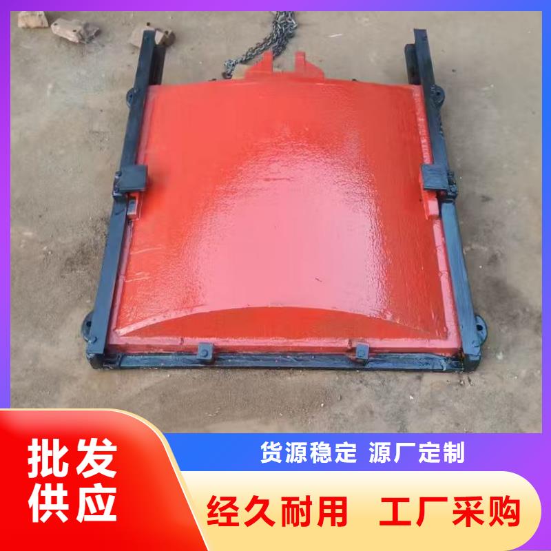 启闭机闸门-水坝止水闸门启闭机实力雄厚