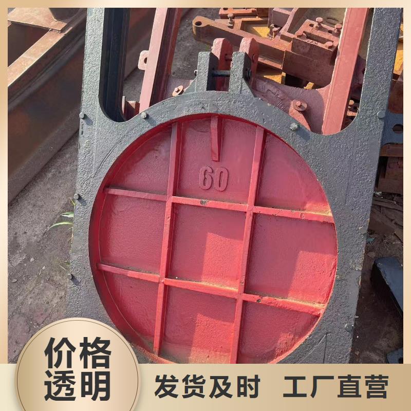 启闭机闸门-PZ机闸一体式铸铁闸门免费安装调试