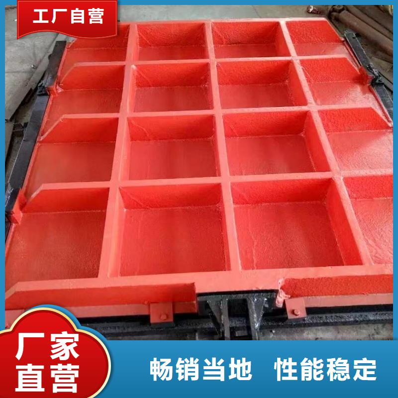 铸铁镶铜闸门-p型止水带闸门水封值得信赖