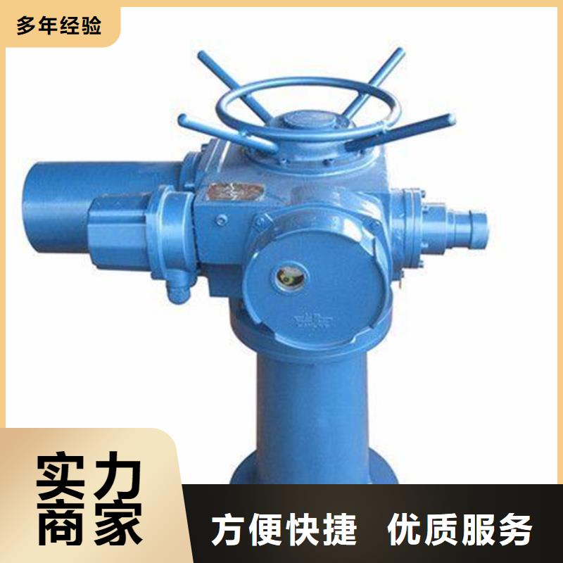 多年专注污水处理启闭机生产的昌江县厂家