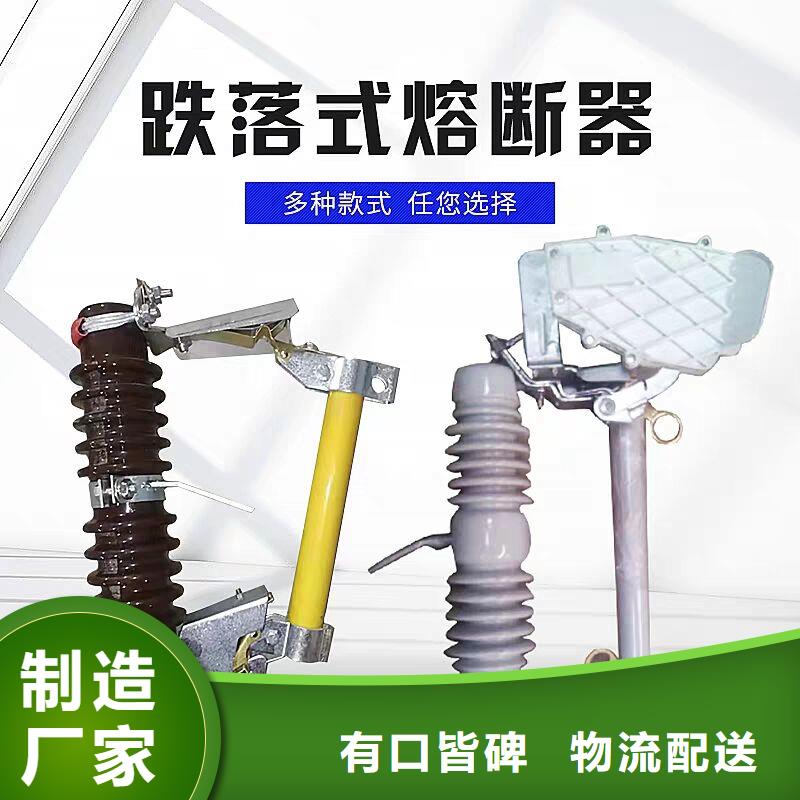 高压熔断器/RW10-10KV/100A