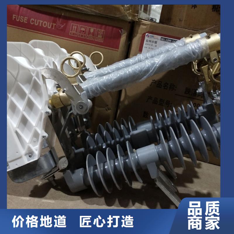 交流熔断器/AC10kV/100A/跌落式/瓷质