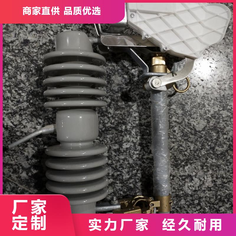 高压熔断器/HRW10-1212KV