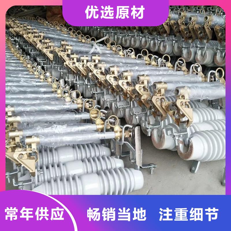 高压熔断器/HRW12-24KV/100