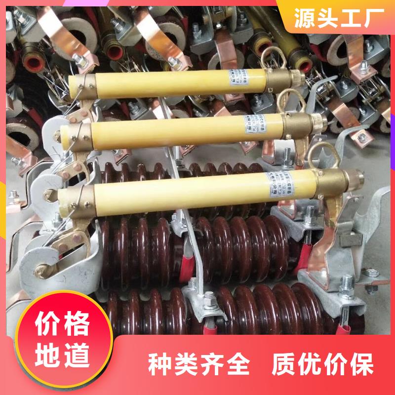 跌落式开关.跌落保险HRW12-12KV-100A