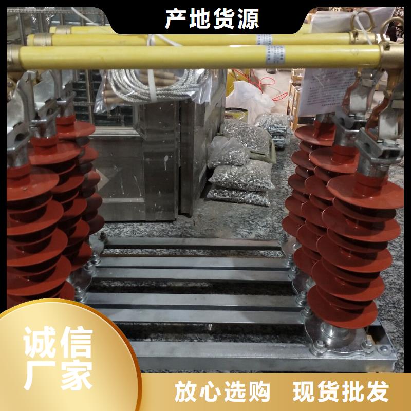 跌落式熔断器/PRW12-10KV/100A-PRW12-10KV/200A/厂家