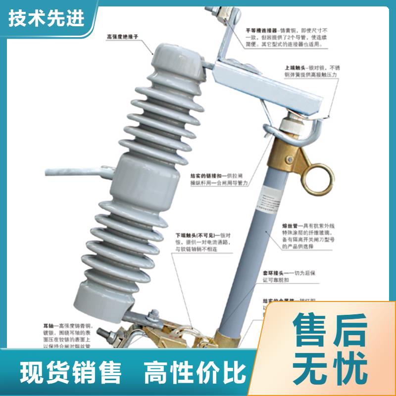 高压熔断器_RW12-15/100A