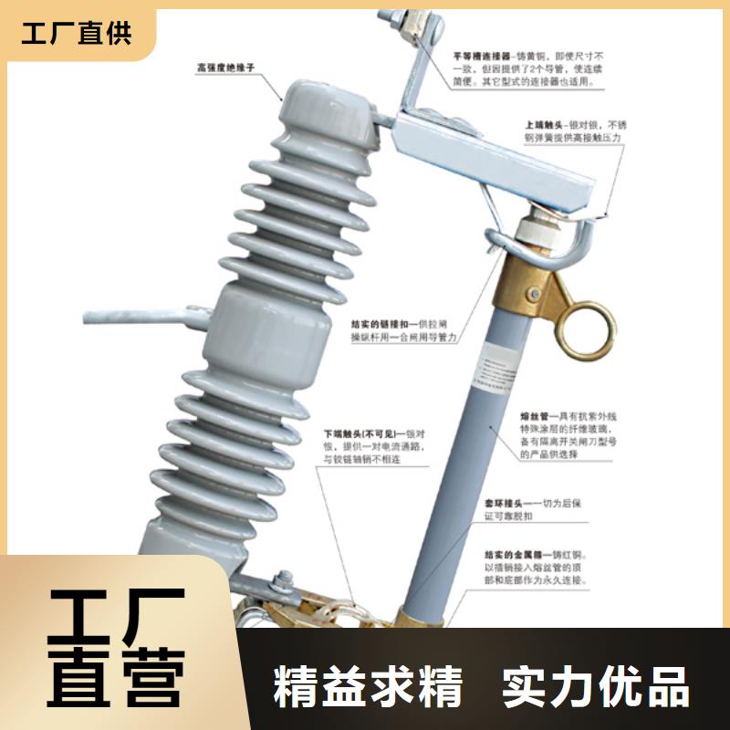 高压熔断器_RW12-10/200