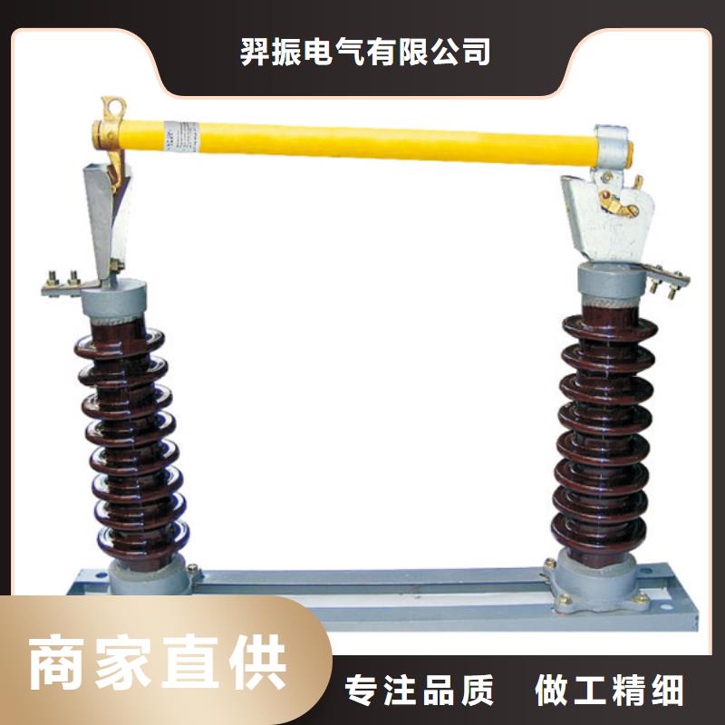 高压熔断器/PRWG2-35KV/100A