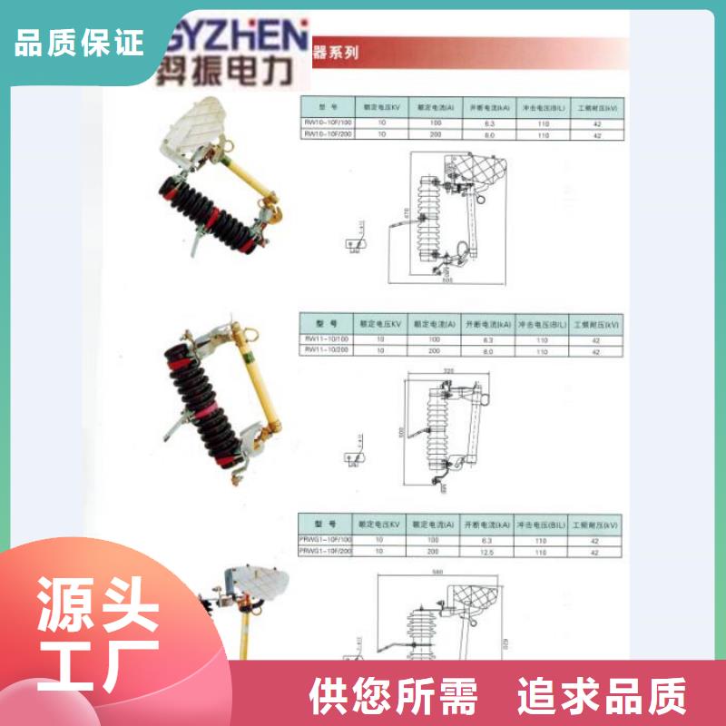 【高压熔断器】HPRW12-10/100