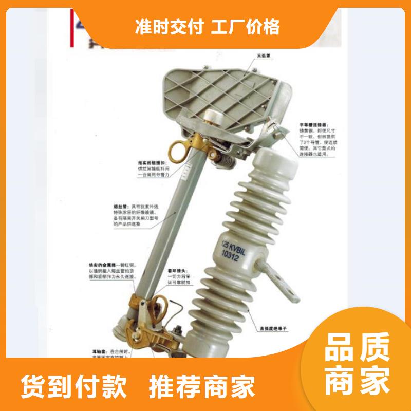 熔断器【真空断路器】一周内发货